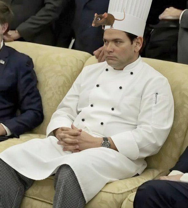 Marco Rubio meme example 2